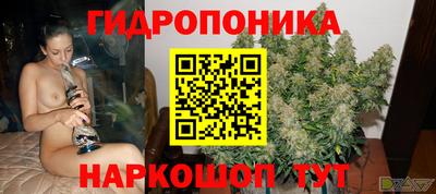 марихуана Гатчина