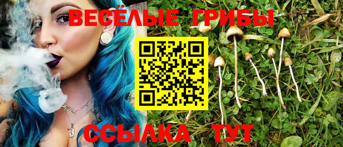 магазин продажи   Псилоцибиновые грибы Cubensis  Вход с VPN  Михайловск 